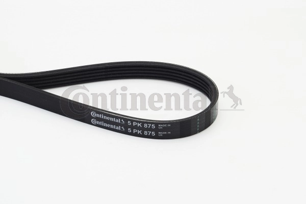 V-ribbed Belt